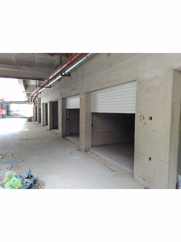 Electric garage door